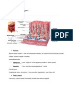 Diagnostic de Organ, Microscopic - Dizenterie Amoebiana