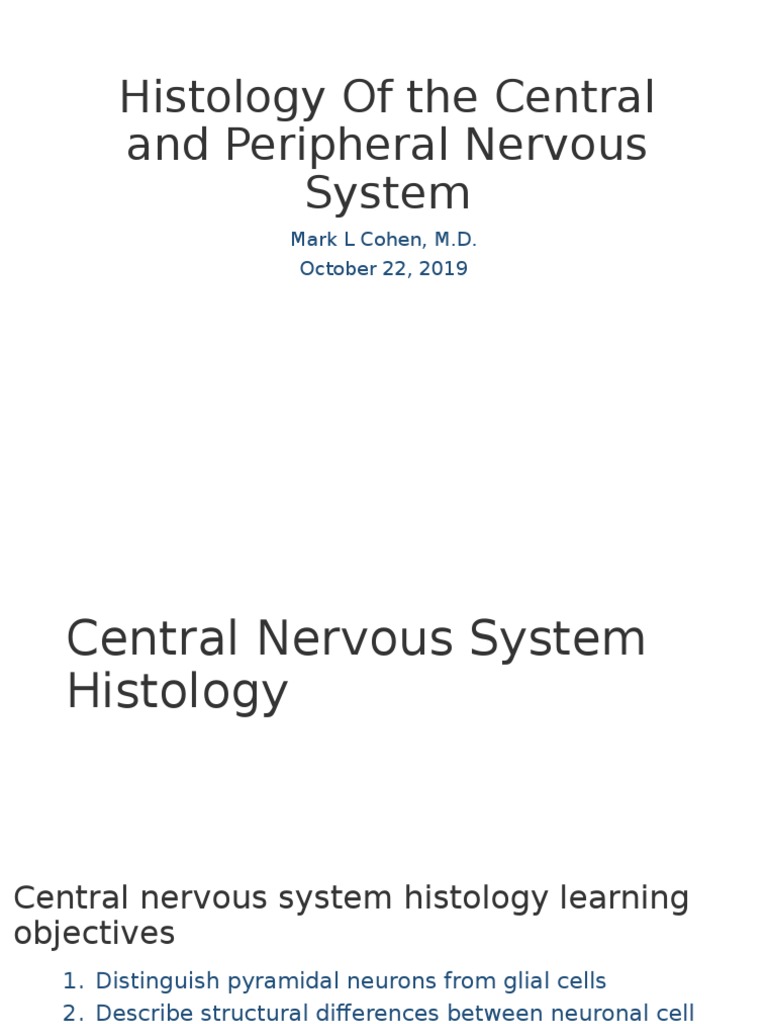 Nervous System Histology Overview | PDF | Central Nervous System | Neuron