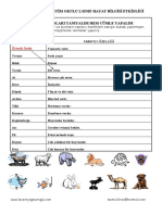 2.sınıf Hayat Bilgisi Hayvanlar Etkinlik-1