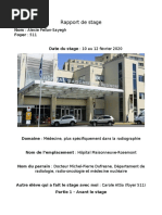 rapport de stage - alexie pellan-sayegh - 511