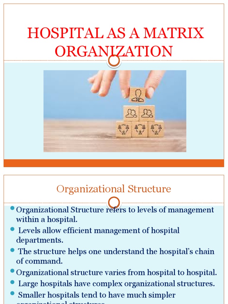 Hospital Matrix Organizational Structure | PDF | Organizational ...
