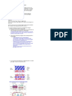 1s. Activitat 1 - Bacteris Grampositiu I Gramnegatiu-Solució