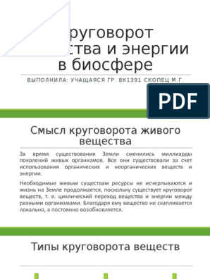 Реферат Биосфера Техносфера Ноосфера