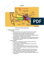 Curs Orl