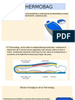 Termobag para tratamientos de termoterapia generalizada