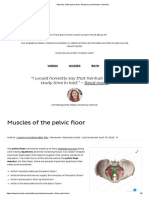 Muscles of The Pelvic Floor - Anatomy and Function - Kenhub