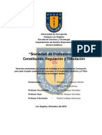 Sociedad de profesionales.pdf