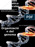 Organización Del Genoma