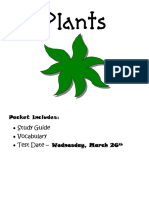 Plants Study Guide PDF