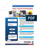 Diplomado Seguridad y Salud Ocupacional