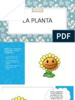 Planta NT2
