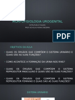 Morfofisiologia urogenital EF