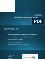 Morfofisiologia respiratória 4