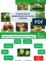 Criterios para Establecimientos de Huertos Fruticolas