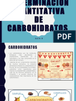Guía 8 Determinación Cuantitativa de Carbohidratos