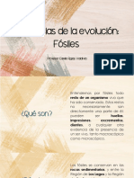 Evidencias de La Evolución - Fósiles