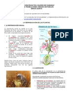 Realiza La Siguiente Lectura "La Reproducción de Las Plantas" y Complementa La Información Con El Video