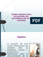 Documentación de La Auditoría PDF