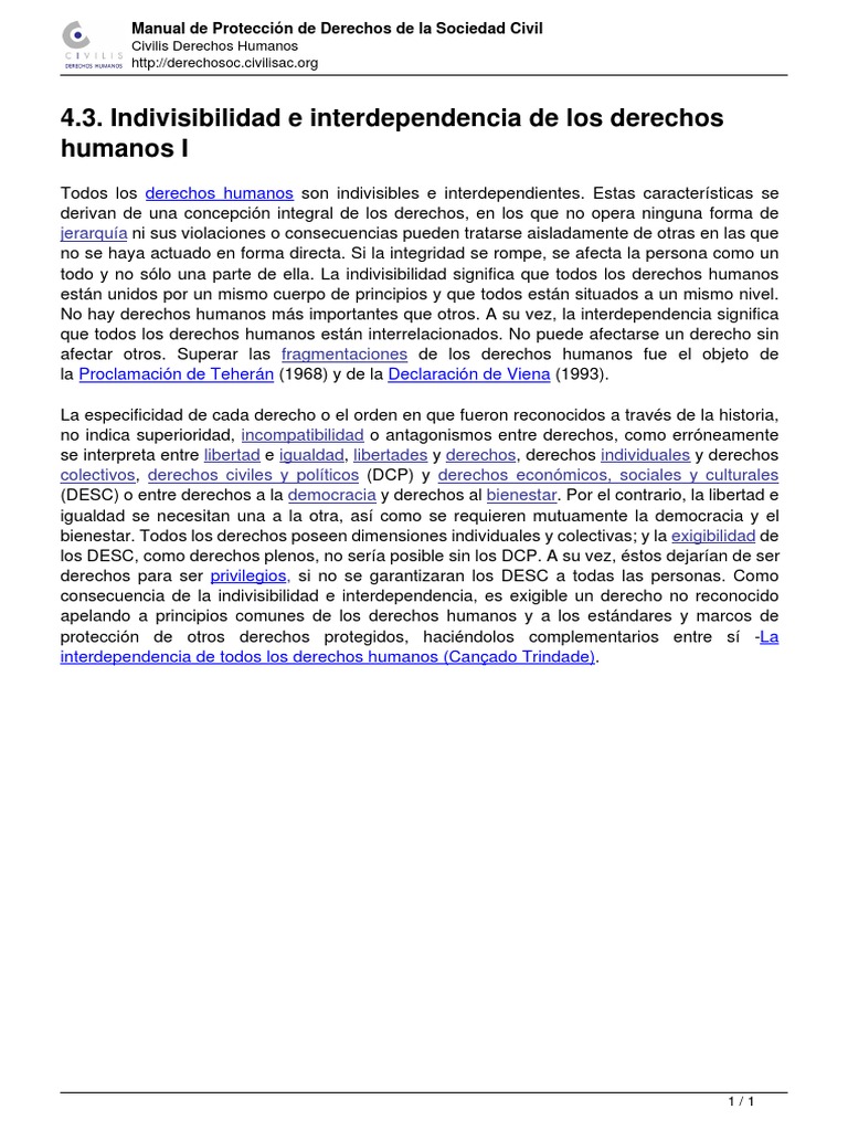 4 3 La Indivisibilidad e Interdependencia de Los Derechos Humanos | PDF ...