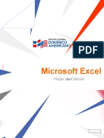 INFII - Microsoft Excel - Julio Alcantara