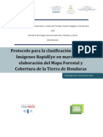 Protocolo para La Clasificación Digital de Imágenes RapidEye en Marco de La Elaboración Del Mapa Forestal y Cobertura de La Tierra de Honduras