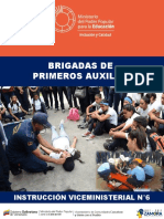 Instruccion Viceministerial Nro 6 Brigadas de Primeros Auxilios