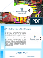 RECORRE LAS PULGAS-PRESENTACIÓN FINAL