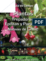 Plantas Trepadoras Epifitas Parasitas Nativas de Chile