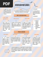 Mapa Conceptual Observación Participante