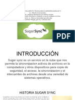 Sugar Sync Magaly Vanessa PDF