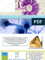 clase 4 Micología 2020.pdf