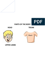 partes del cuerpo