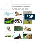 Animali PDF