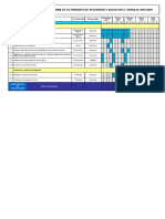 Programa de Actividades de SST