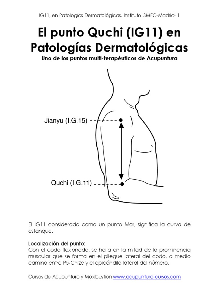 11 IG - QuChi | PDF | Alergia | Acupuntura
