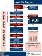 Anzcor Neonatal Flowchart