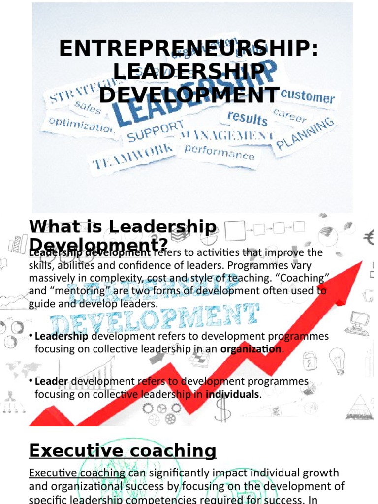 Leadership Development and Mentorship Guide | PDF | Mentorship ...