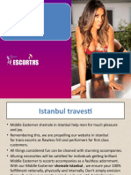 Istanbul Travesti