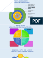 Promotor Comunitario