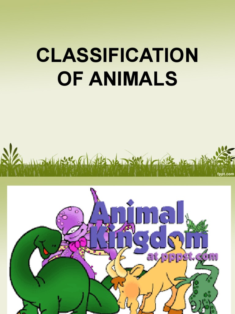Animal Classification for Kids | PDF | Amphibian | Reptile