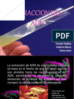 EXTRACCION_DEL_ADN_1.pdf