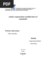 Proiect mng NE MODIFICAT