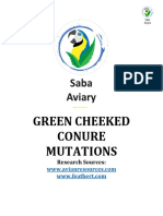 Green Cheeked Conure PDF