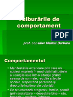 Tulburarile_de_comportament