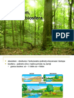 29 Ekosistem Biosfera