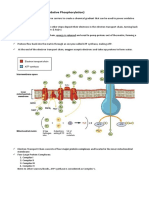 Electron Transport Chain PDF