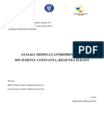 Analiza Mediului Antreprenorial in Judetul Constanta PDF
