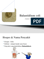 Balantidium Coli - Annisa Nurul C