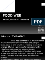 Food Web Ecosystem Guide