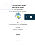 Administracion Efectiva-Panorama General-Prof - Merino